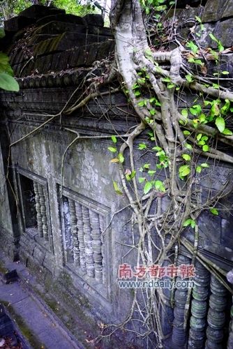 崩密列，樹根擁抱著建筑生長