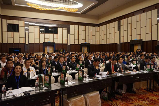 楊秀萍秘書長出席中國－東盟企業家大會開幕式 