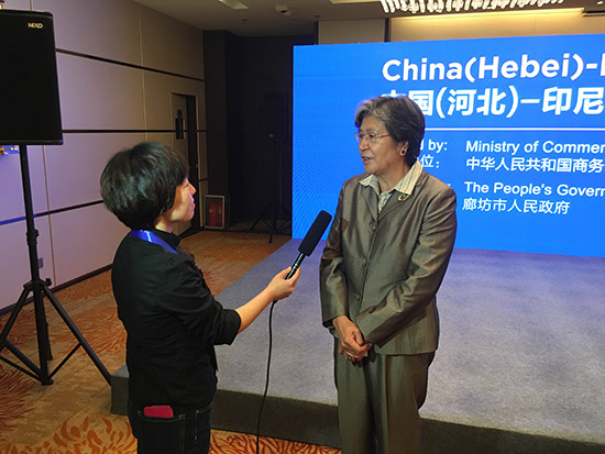 楊秀萍秘書長出席2016中國·廊坊國際經貿洽談會印尼館開館儀式